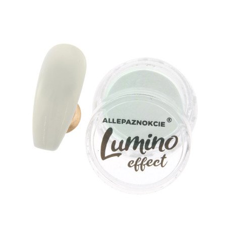 Prášok Lumino - svietiaci v tme 02 - Akcia - len za 1.59 Eur | NechtovyRaj.sk - Všetko pre Vašu krásu
