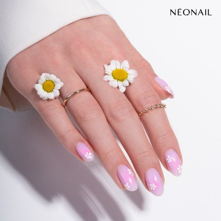 NeoNail Baby Boomer Airbrush Pink 5g - len za 12.99 Eur | NechtovyRaj.sk - Všetko pre Vašu krásu